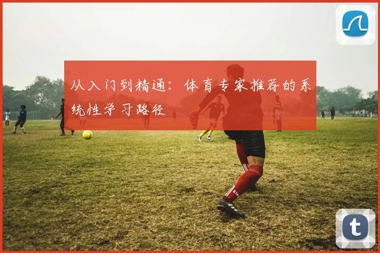 从入门到精通：体育专家推荐的系统性学习路径